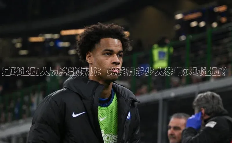 天辰登录连接福石控股足球运动人员总数揭秘：究竟有多少人参与这项运动？