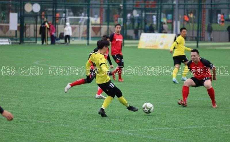 天辰平台官方网站入口汉得信息长江之巅：武汉运动赛事组委会的精彩篇章与未来展望