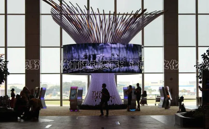 天辰平台注册官网荣信文化全球视野下的体育运动赛事：语言与文化的桥梁