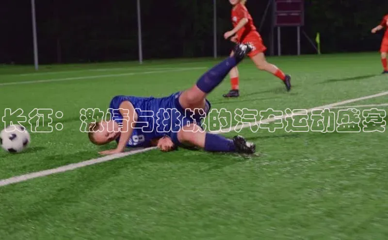 天辰测速登录地址小米长征：激情与挑战的汽车运动盛宴