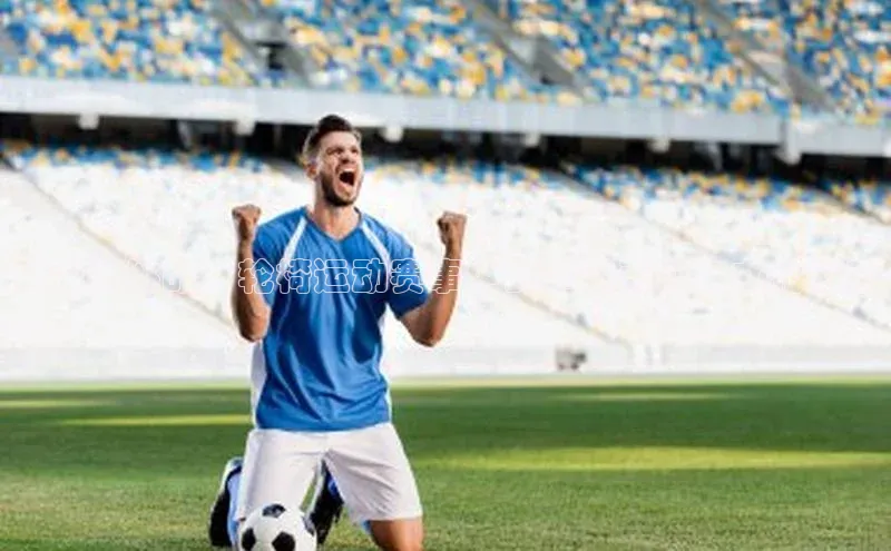 竞速与挑战：轮椅运动赛事中的卓越表现与文化传承