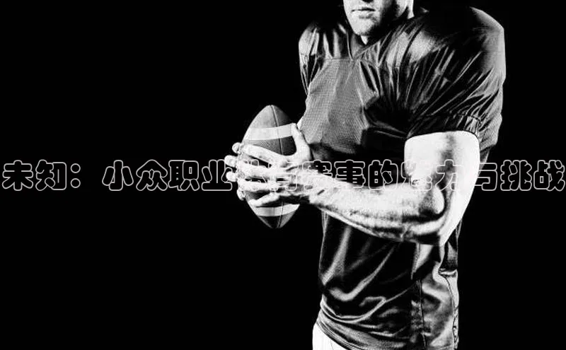 未知：小众职业体育赛事的魅力与挑战