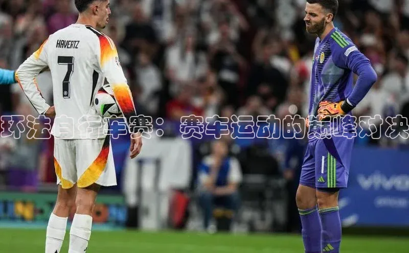 环法自行车赛：赛车运动的巅峰对决