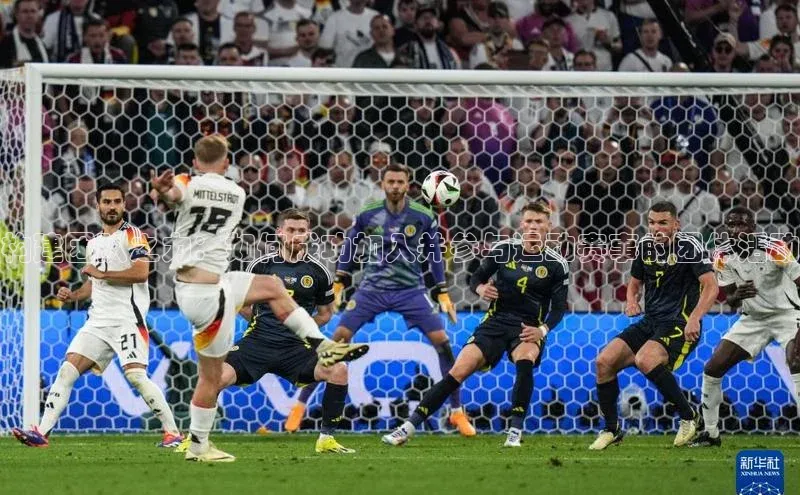 构建团队之力：如何成功加入并参与运动赛事的团体活动