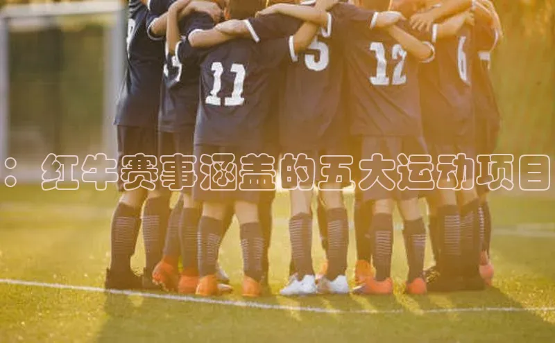 ：红牛赛事涵盖的五大运动项目
