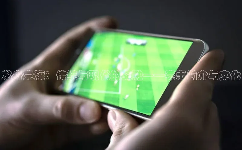 龙舟竞渡：传统与现代的交融——赛事简介与文化