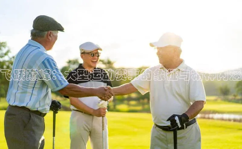 飞跃巅峰：大型运动赛事的象征与精神内涵