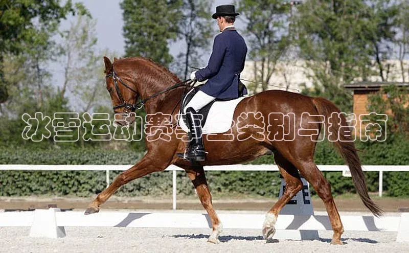 冰雪运动赛事全类别与指南